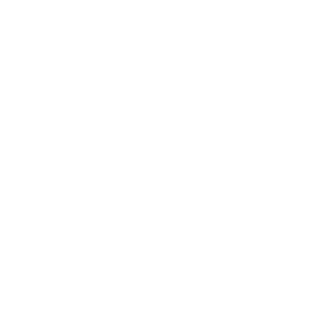 N-sKing