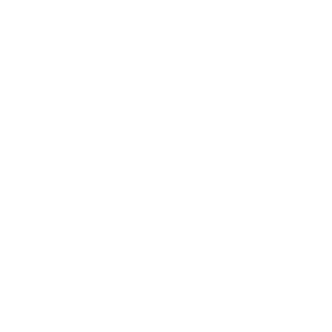 Robert Costin